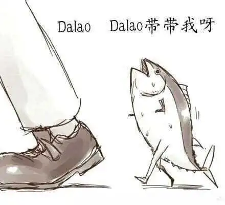 Sub是什么？字母圈新人的BDSM角色指南