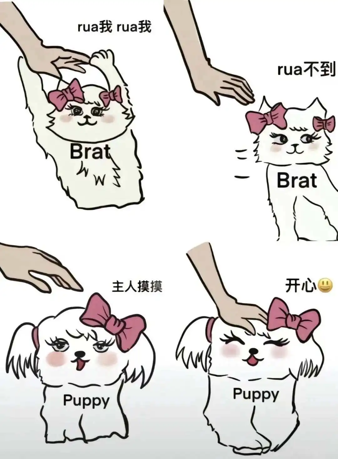 【西檬之家】k8是什么？揭秘字母圈里的猫系角色扮演