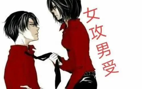 【西檬之家】字母圈的DOM是什么意思？