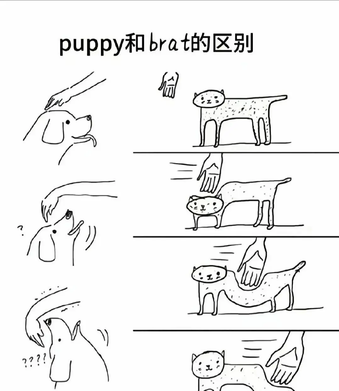 【西檬之家】探索K8是什么：字母圈猫系角色精髓