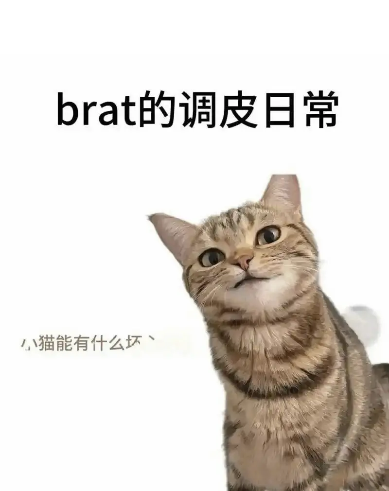 SM亚文化 - 2025-11-13 192048