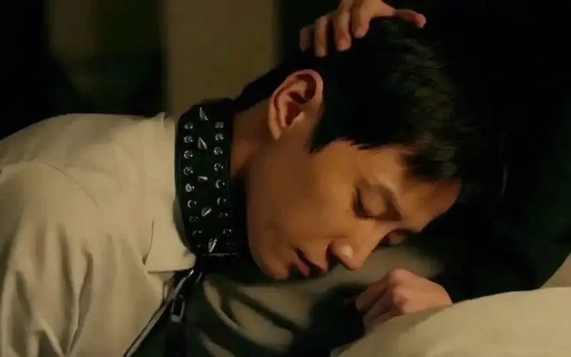 西檬之家-BDSM猫系角色扮演是什么？