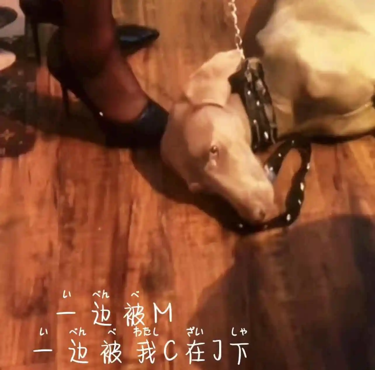 字母圈入圈 - 2023_11_07_20_50_IMG_8911