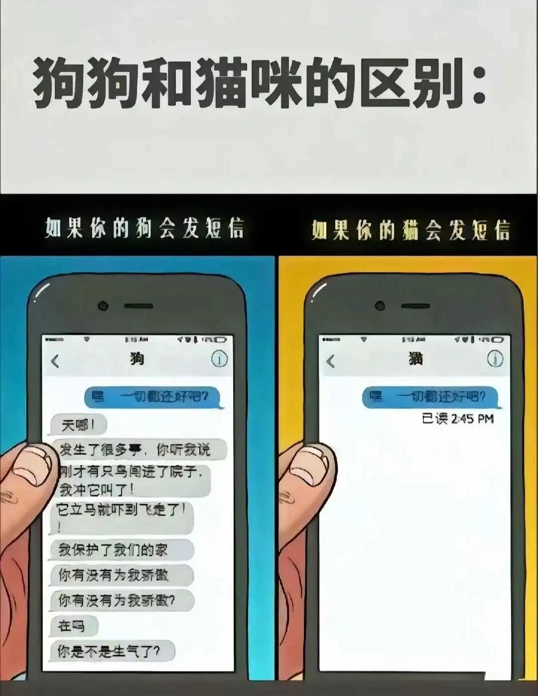 西檬之家-字母圈小圈是什么？BDSM新人入圈指南
