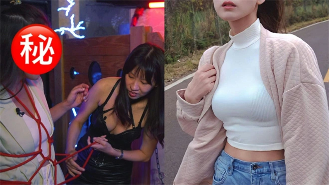 k9犬系 - 21394