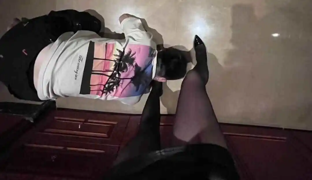 西檬之家-K8是什么？字母圈猫奴文化深度解析