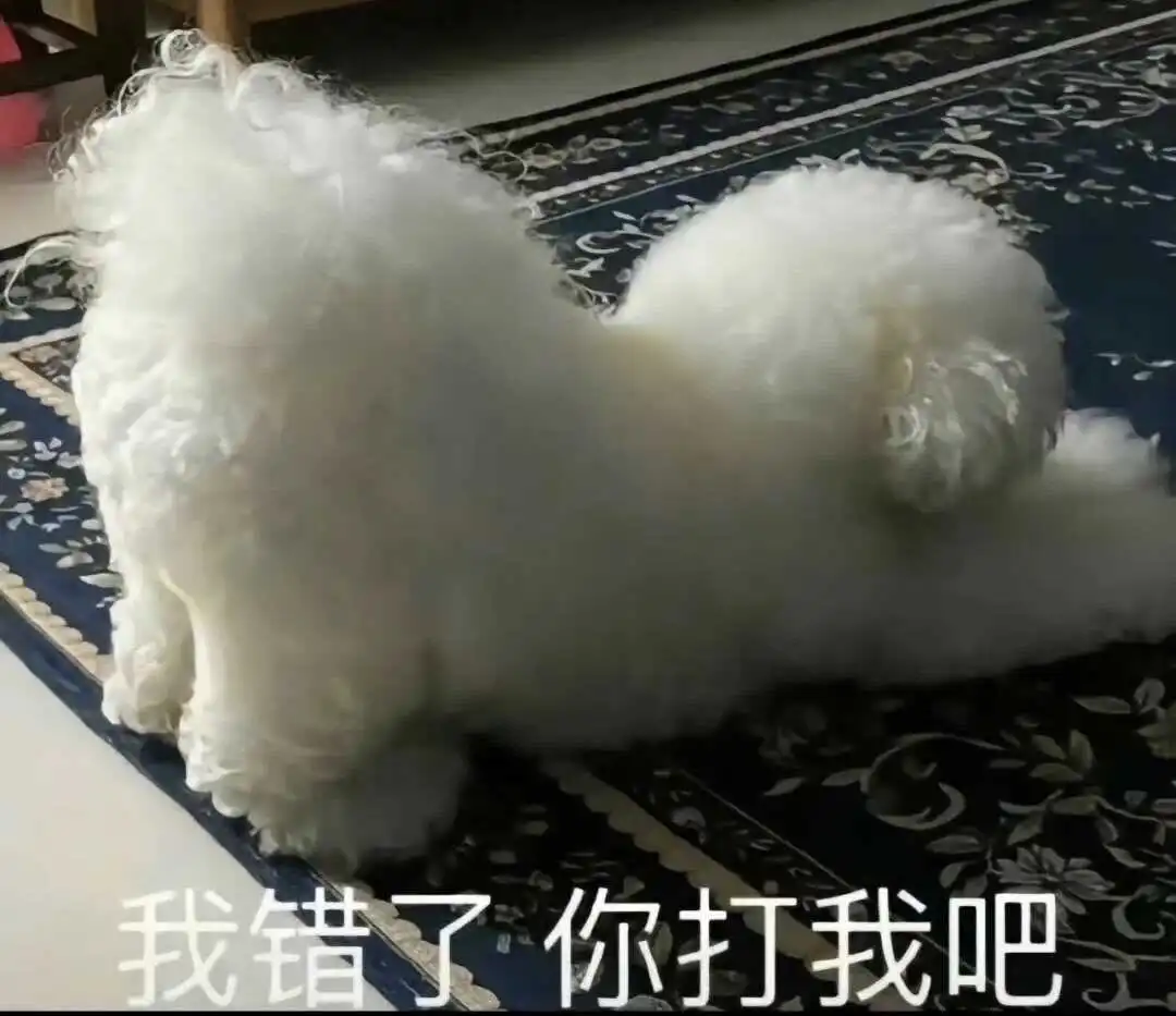 西檬之家-字母圈新人入圈指南