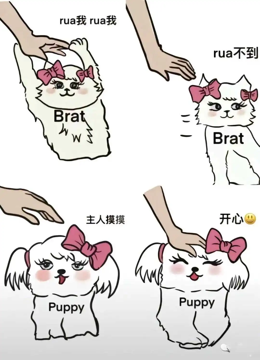 【西檬之家】M是什么意思？字母圈新人必读术语指南